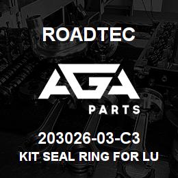 203026-03-C3 Roadtec KIT SEAL RING FOR LUBE NIPPLE-C2 | AGA Parts