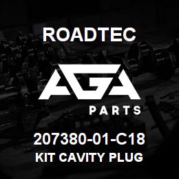 207380-01-C18 Roadtec KIT CAVITY PLUG | AGA Parts