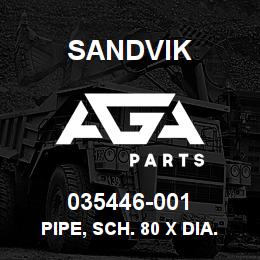 035446-001 Sandvik PIPE, SCH. 80 X DIA. 1.00 | AGA Parts