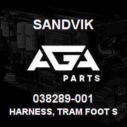 038289-001 Sandvik HARNESS, TRAM FOOT SWITCH DR460 | AGA Parts