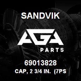 69013828 Sandvik CAP, 2 3/4 IN. (7PSI) | AGA Parts