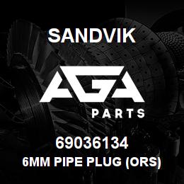 69036134 Sandvik 6MM PIPE PLUG (ORS) | AGA Parts