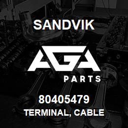 80405479 Sandvik TERMINAL, CABLE | AGA Parts