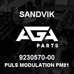 9230570-00 Sandvik PULS MODULATION PM810 | AGA Parts