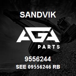 9556244 Sandvik SEE 09556246 RB | AGA Parts