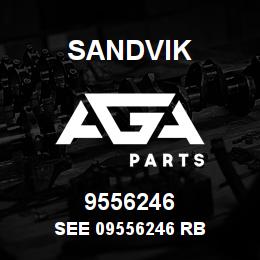 9556246 Sandvik SEE 09556246 RB | AGA Parts