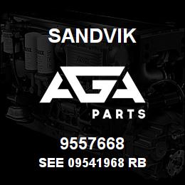 9557668 Sandvik SEE 09541968 RB | AGA Parts