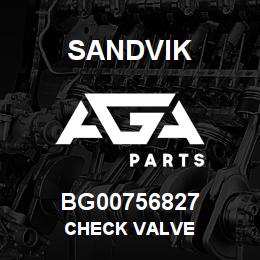BG00756827 Sandvik CHECK VALVE | AGA Parts