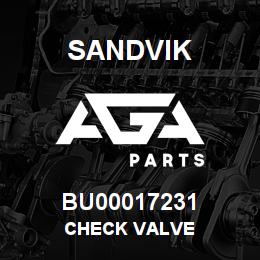 BU00017231 Sandvik CHECK VALVE | AGA Parts