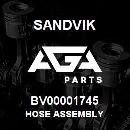 BV00001745 Sandvik HOSE ASSEMBLY | AGA Parts