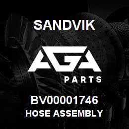 BV00001746 Sandvik HOSE ASSEMBLY | AGA Parts