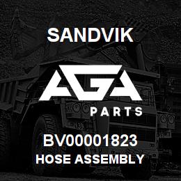 BV00001823 Sandvik HOSE ASSEMBLY | AGA Parts