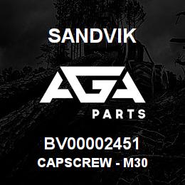 BV00002451 Sandvik CAPSCREW - M30 | AGA Parts