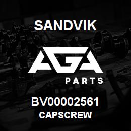 BV00002561 Sandvik CAPSCREW | AGA Parts