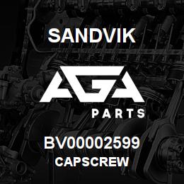 BV00002599 Sandvik CAPSCREW | AGA Parts