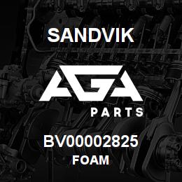 BV00002825 Sandvik FOAM | AGA Parts