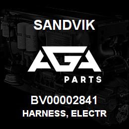 BV00002841 Sandvik HARNESS, ELECTR | AGA Parts
