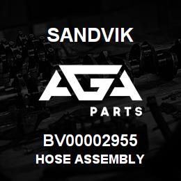 BV00002955 Sandvik HOSE ASSEMBLY | AGA Parts