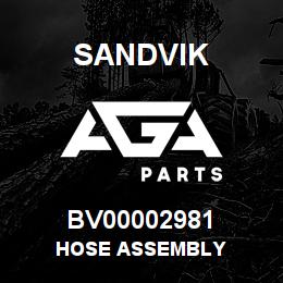 BV00002981 Sandvik HOSE ASSEMBLY | AGA Parts
