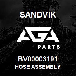 BV00003191 Sandvik HOSE ASSEMBLY | AGA Parts