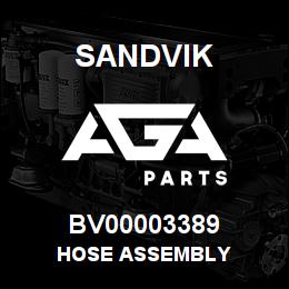 BV00003389 Sandvik HOSE ASSEMBLY | AGA Parts
