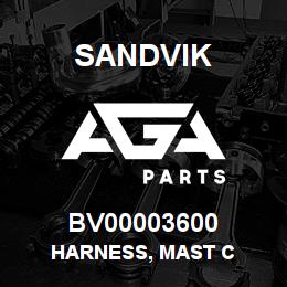 BV00003600 Sandvik HARNESS, MAST C | AGA Parts