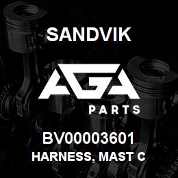 BV00003601 Sandvik HARNESS, MAST C | AGA Parts