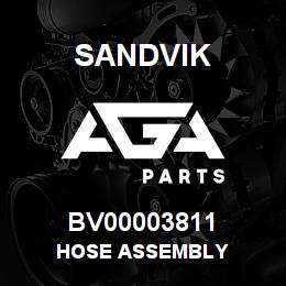 BV00003811 Sandvik HOSE ASSEMBLY | AGA Parts