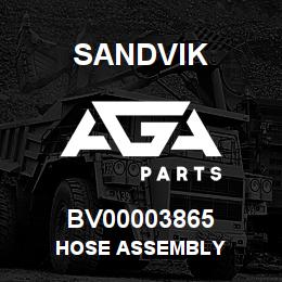 BV00003865 Sandvik HOSE ASSEMBLY | AGA Parts