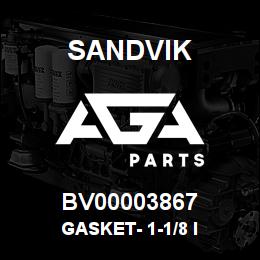 BV00003867 Sandvik GASKET- 1-1/8 I | AGA Parts