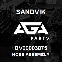 BV00003875 Sandvik HOSE ASSEMBLY | AGA Parts