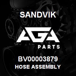 BV00003879 Sandvik HOSE ASSEMBLY | AGA Parts