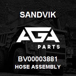 BV00003881 Sandvik HOSE ASSEMBLY | AGA Parts