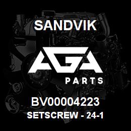 BV00004223 Sandvik SETSCREW - 24-1 | AGA Parts