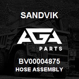 BV00004875 Sandvik HOSE ASSEMBLY | AGA Parts