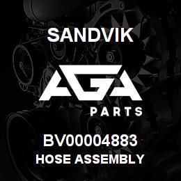 BV00004883 Sandvik HOSE ASSEMBLY | AGA Parts