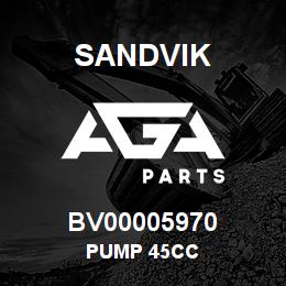 BV00005970 Sandvik PUMP 45CC | AGA Parts