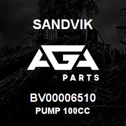BV00006510 Sandvik PUMP 100CC | AGA Parts