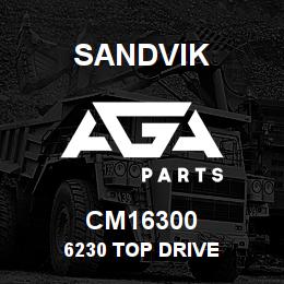 CM16300 Sandvik 6230 TOP DRIVE | AGA Parts