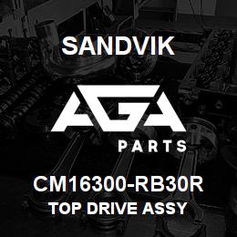 CM16300-RB30R Sandvik TOP DRIVE ASSY | AGA Parts