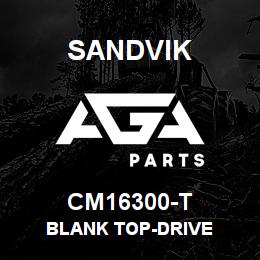 CM16300-T Sandvik BLANK TOP-DRIVE | AGA Parts