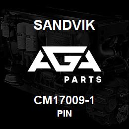 CM17009-1 Sandvik PIN | AGA Parts