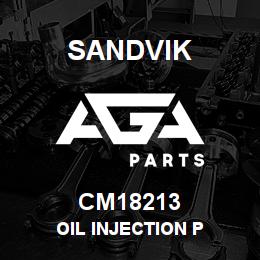 CM18213 Sandvik OIL INJECTION P | AGA Parts