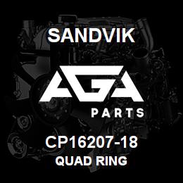 CP16207-18 Sandvik QUAD RING | AGA Parts