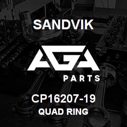 CP16207-19 Sandvik QUAD RING | AGA Parts