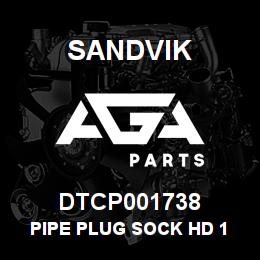 DTCP001738 Sandvik PIPE PLUG SOCK HD 1 NPT | AGA Parts