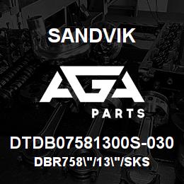 DTDB07581300S-030 Sandvik DBR758"/13"/SKS | AGA Parts