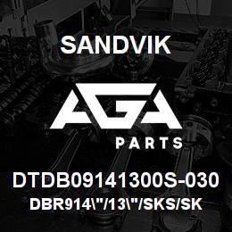 DTDB09141300S-030 Sandvik DBR914"/13"/SKS/SKF | AGA Parts