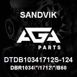 DTDB10341712S-124 Sandvik DBR1034"/1712"/B60R/GD100 | AGA Parts