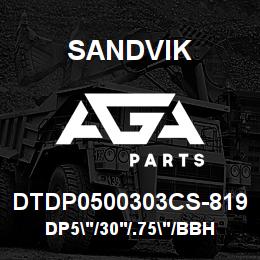 DTDP0500303CS-819 Sandvik DP5"/30'/.75"/BBHF/312AR/ST52/SKF | AGA Parts